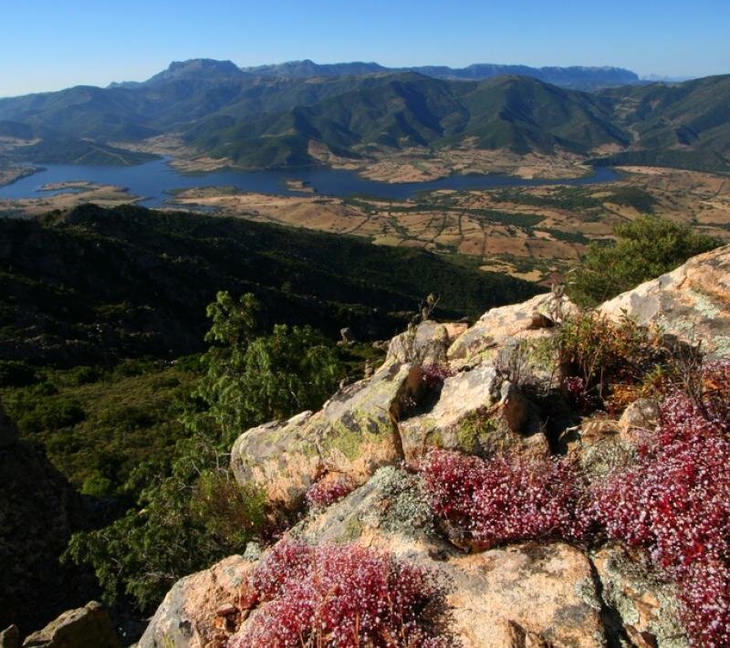 Parco Di Tepilora