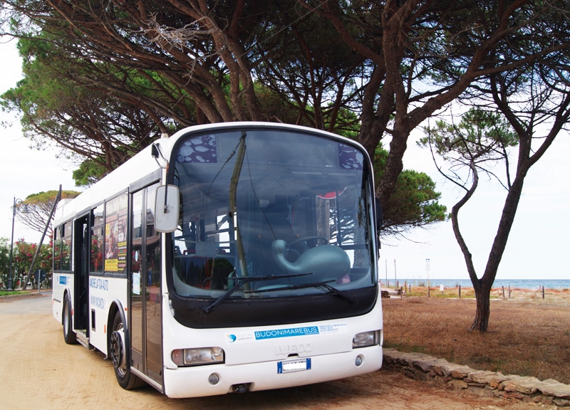 Marebus - dettaglio orari e linee